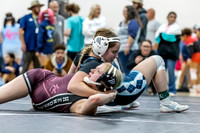 WRESTLING 2026 CHHS