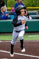 Mambas 7u 2026